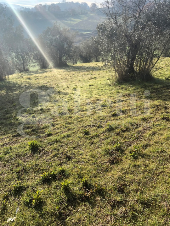 Terreno - Image 1