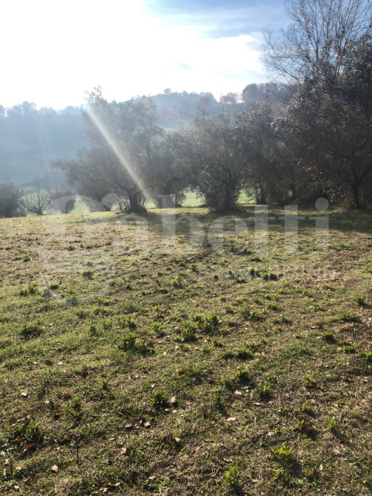Terreno - Image 7