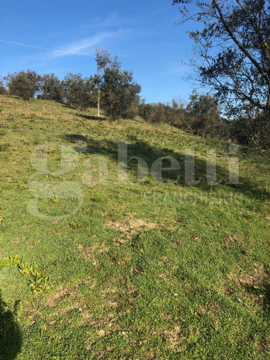 Terreno - Image 33