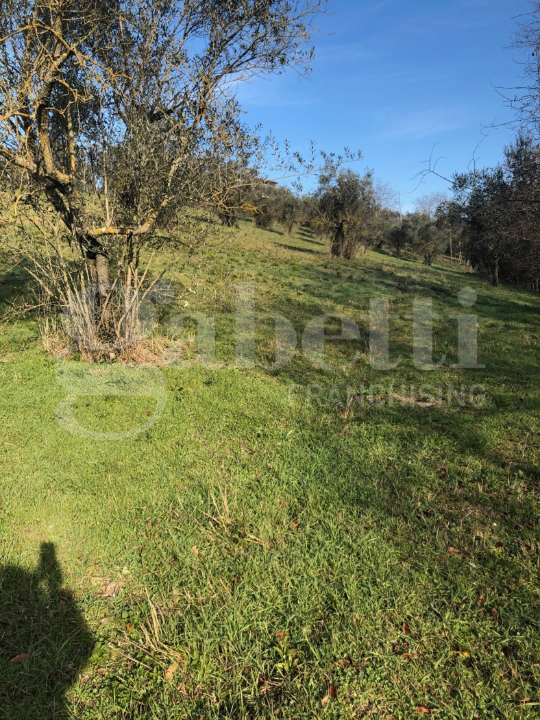 Terreno - Image 23