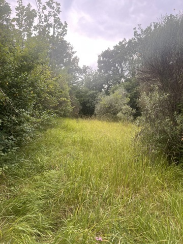 Terreno - Image 1