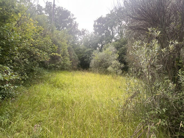 Terreno - Image 3