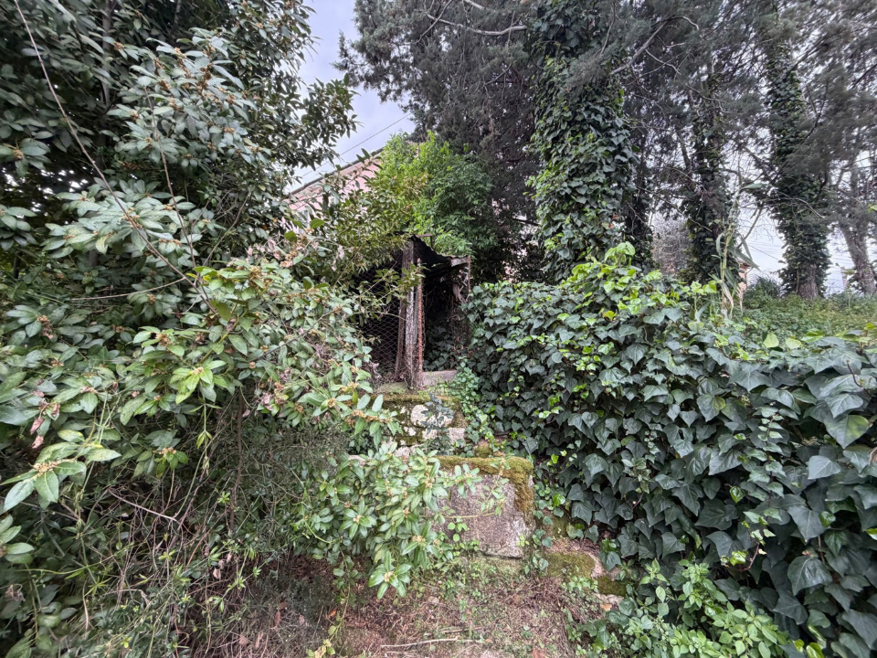 Villa - Image 33