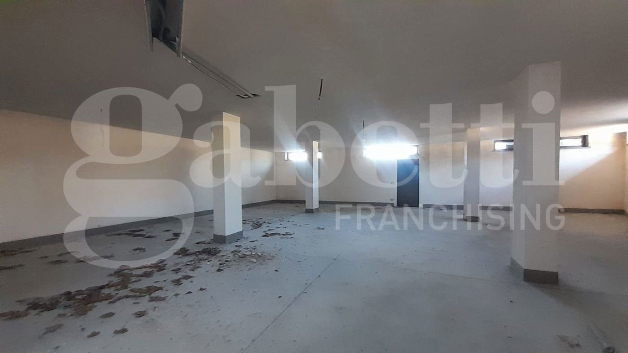 Complesso - Image 13