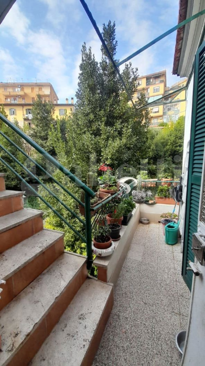 Palazzina - Image 50