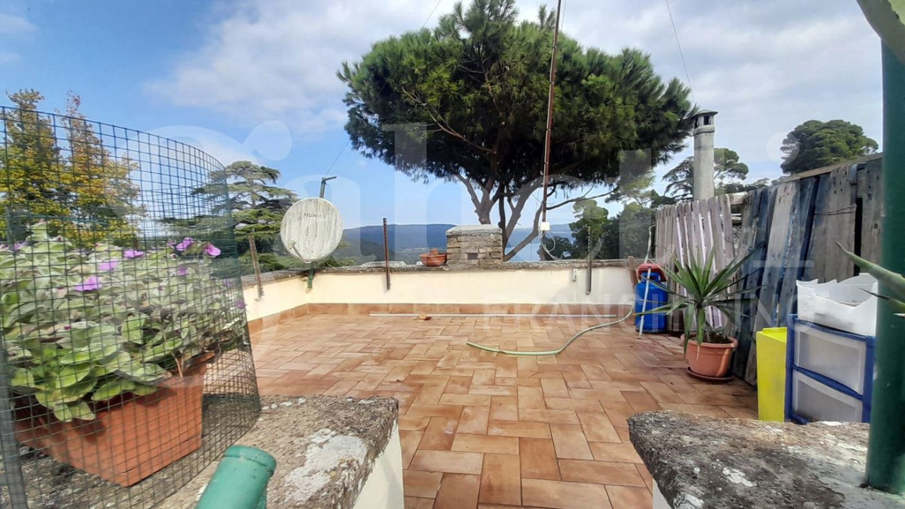 Palazzina - Image 44