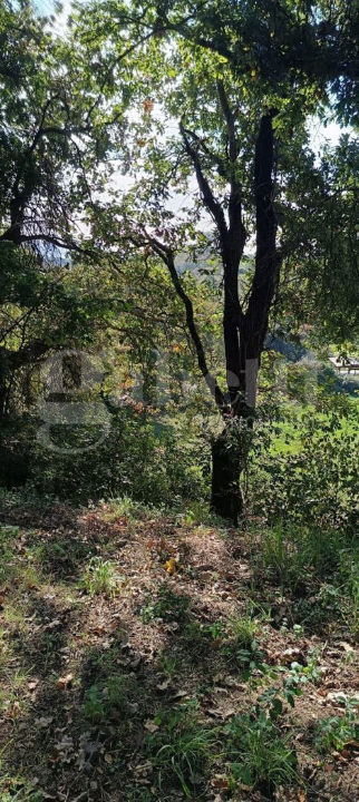 Casa Indipendente - Image 48