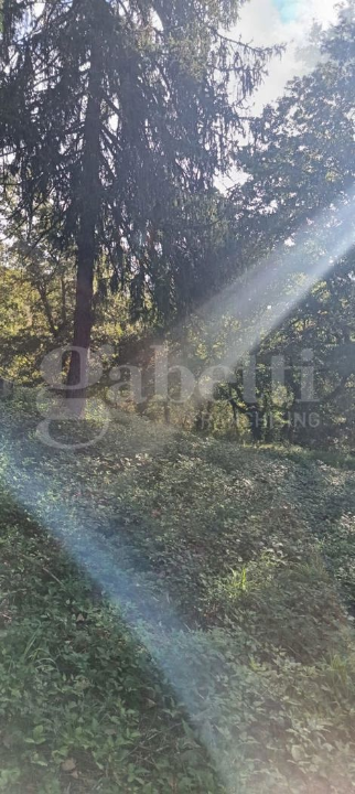 Casa Indipendente - Image 21