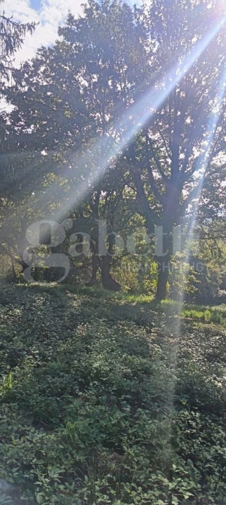 Casa Indipendente - Image 13