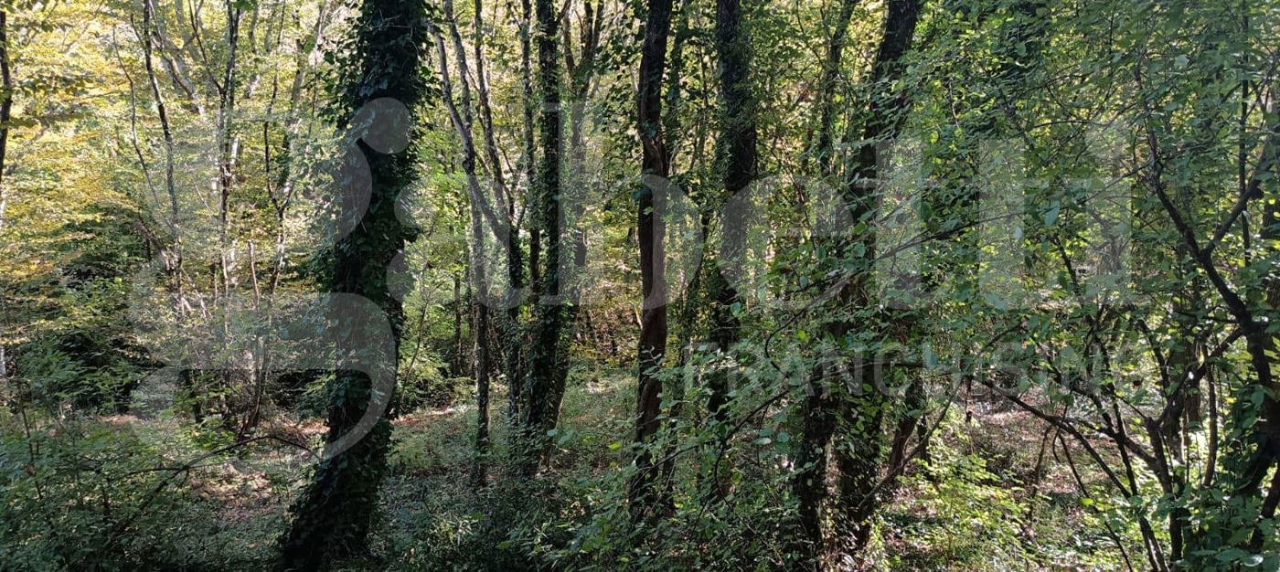 Casa Indipendente - Image 2