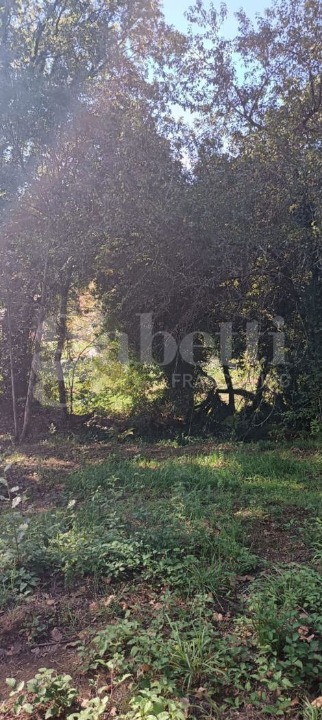 Casa Indipendente - Image 17