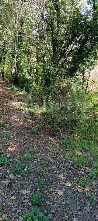 Casa Indipendente - Image 9