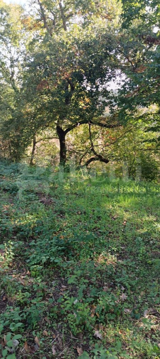 Casa Indipendente - Image 47