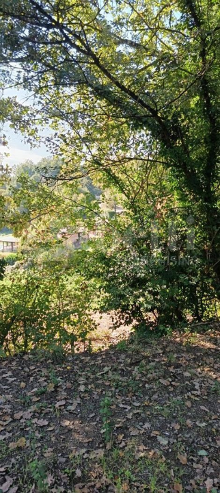 Casa Indipendente - Image 23