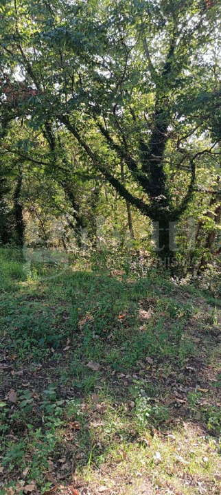 Casa Indipendente - Image 49