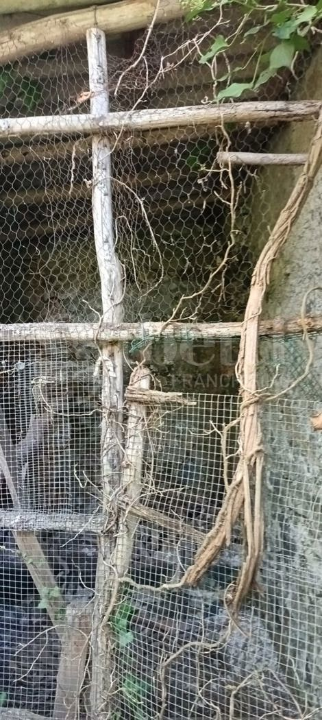 Casa Indipendente - Image 12