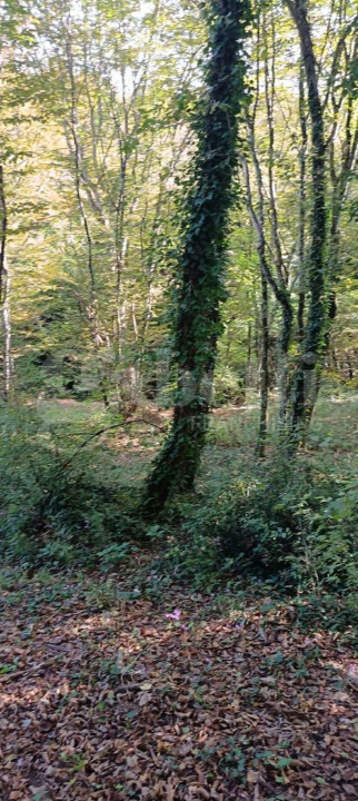 Casa Indipendente - Image 3