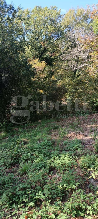 Casa Indipendente - Image 15