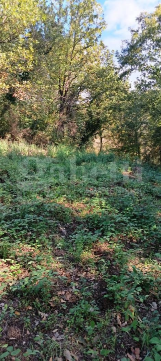 Casa Indipendente - Image 42