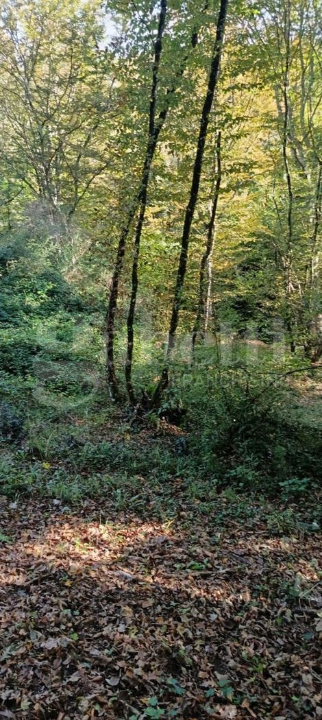 Casa Indipendente - Image 4