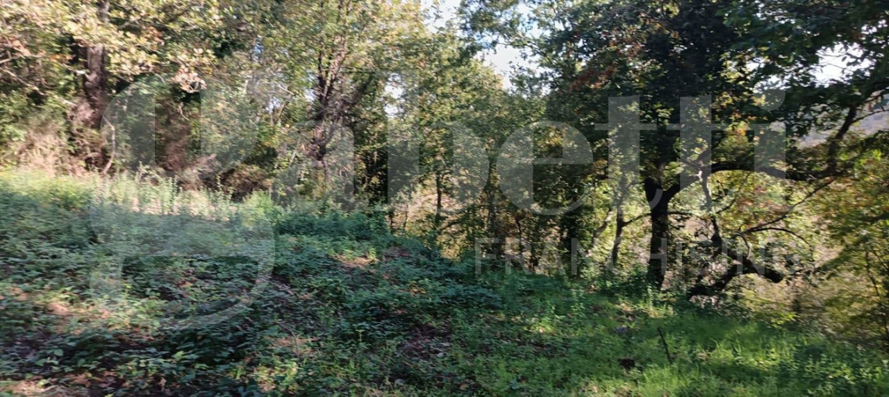 Casa Indipendente - Image 33