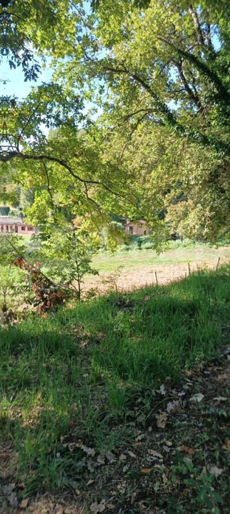 Casa Indipendente - Image 45