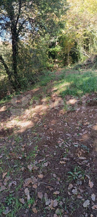 Casa Indipendente - Image 24