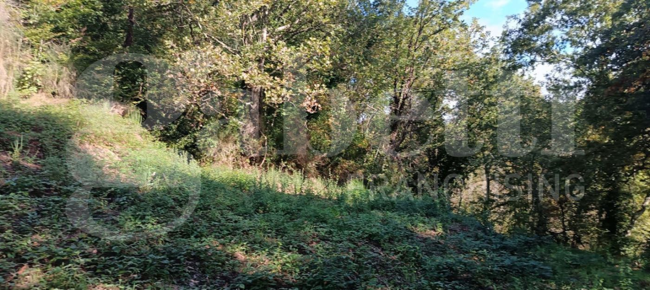 Casa Indipendente - Image 35