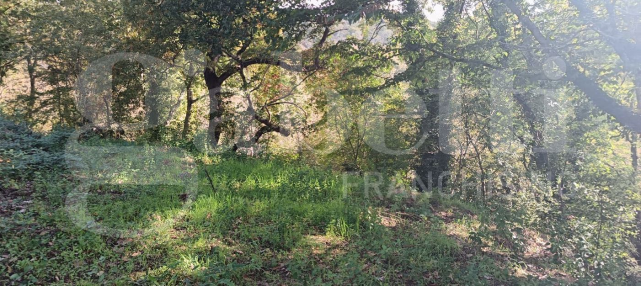 Casa Indipendente - Image 36