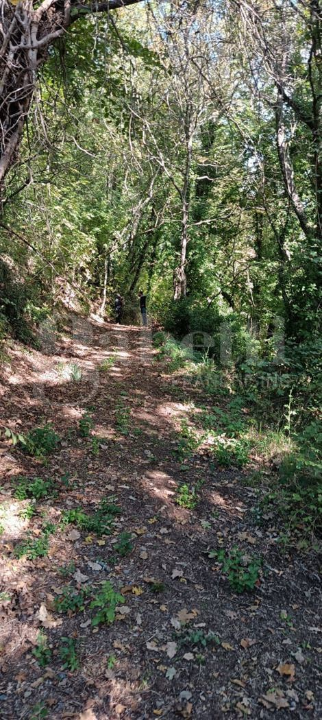 Casa Indipendente - Image 5