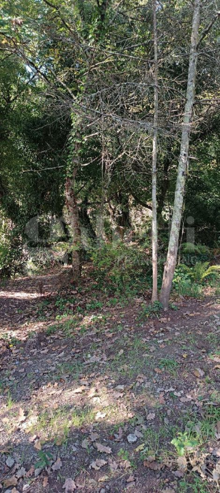 Casa Indipendente - Image 22