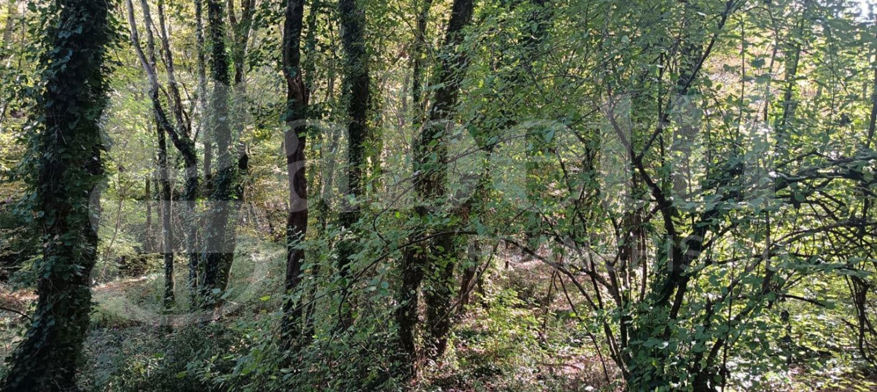 Casa Indipendente - Image 1