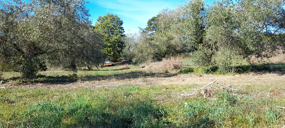 Terreno - Image 6
