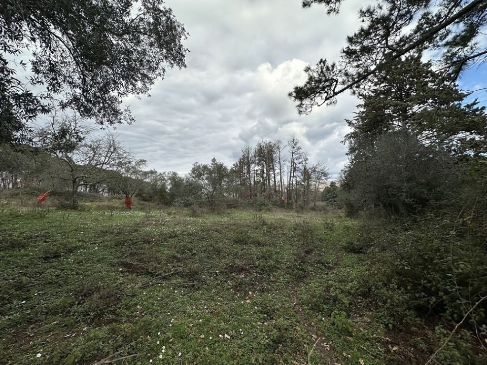 Terreno - Image 6