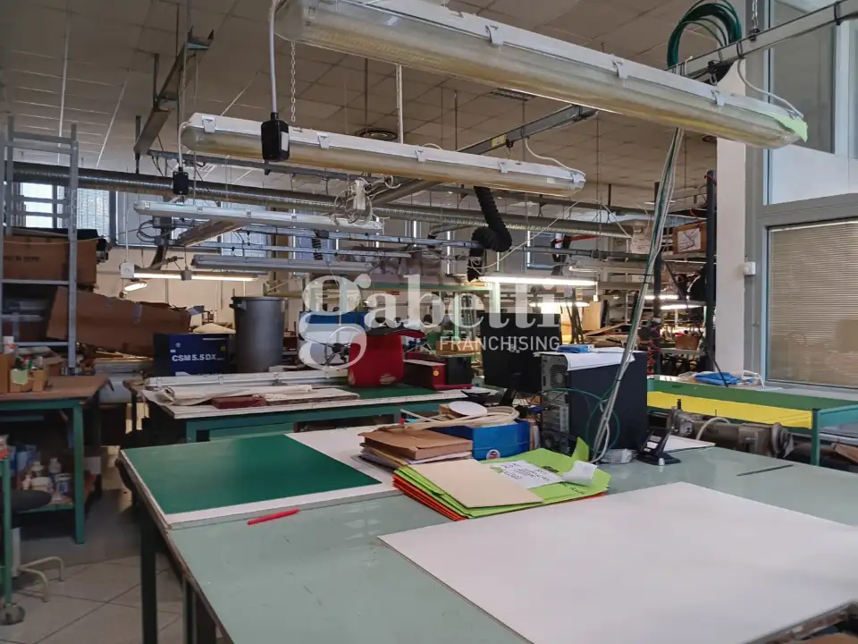 Laboratorio - Image 7