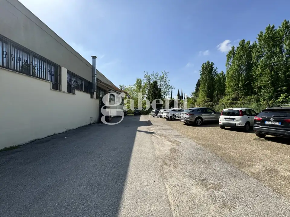 Capannone - Image 22