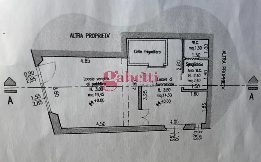 Negozio - Planimetry 1