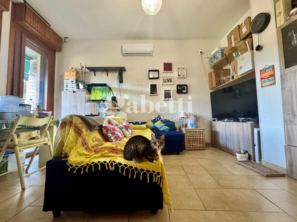 Appartamento - Image 5