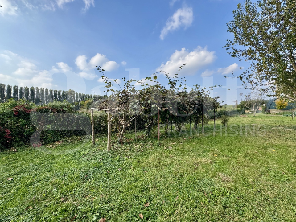 Casa Indipendente - Image 9