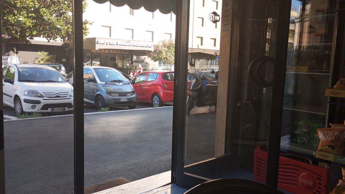 Attività - Image 13