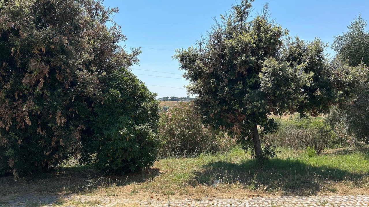 Villa - Image 7