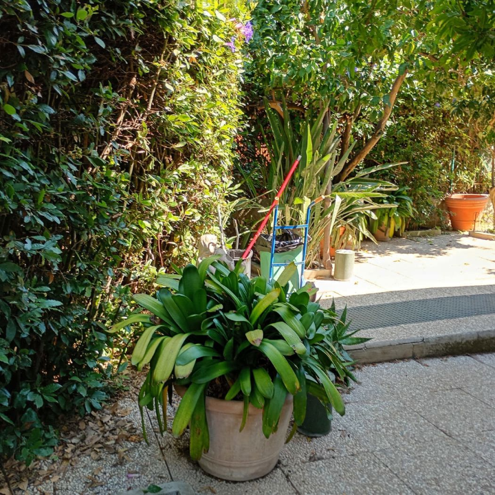 Villa - Image 46