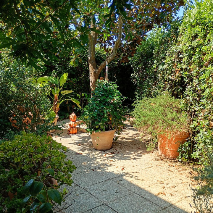 Villa - Image 5