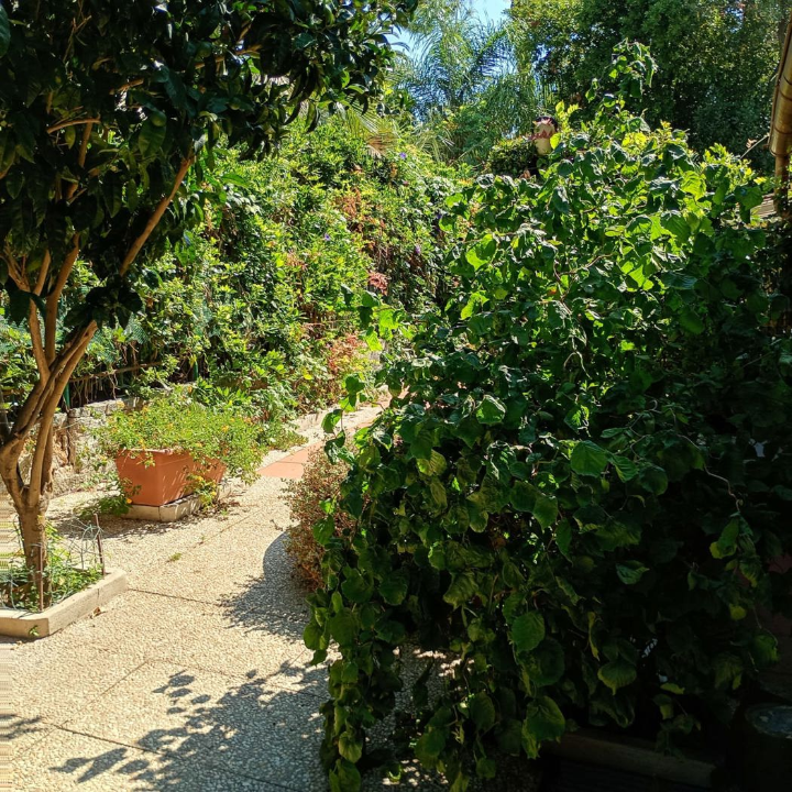 Villa - Image 6