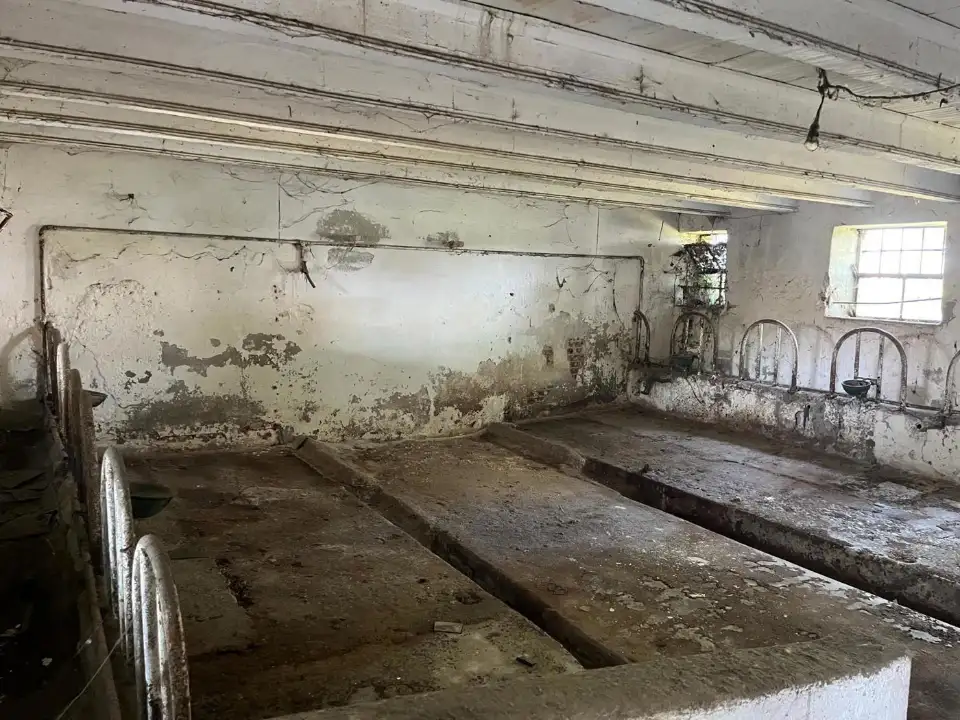 Casa Indipendente - Image 6