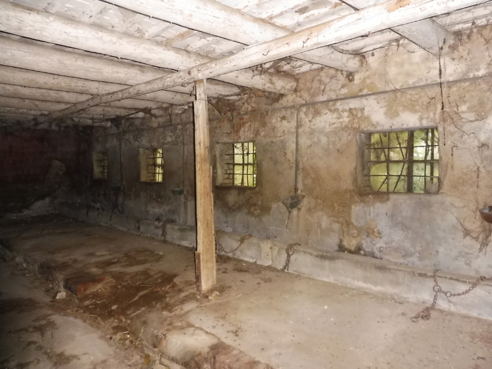 Casa Indipendente - Image 15