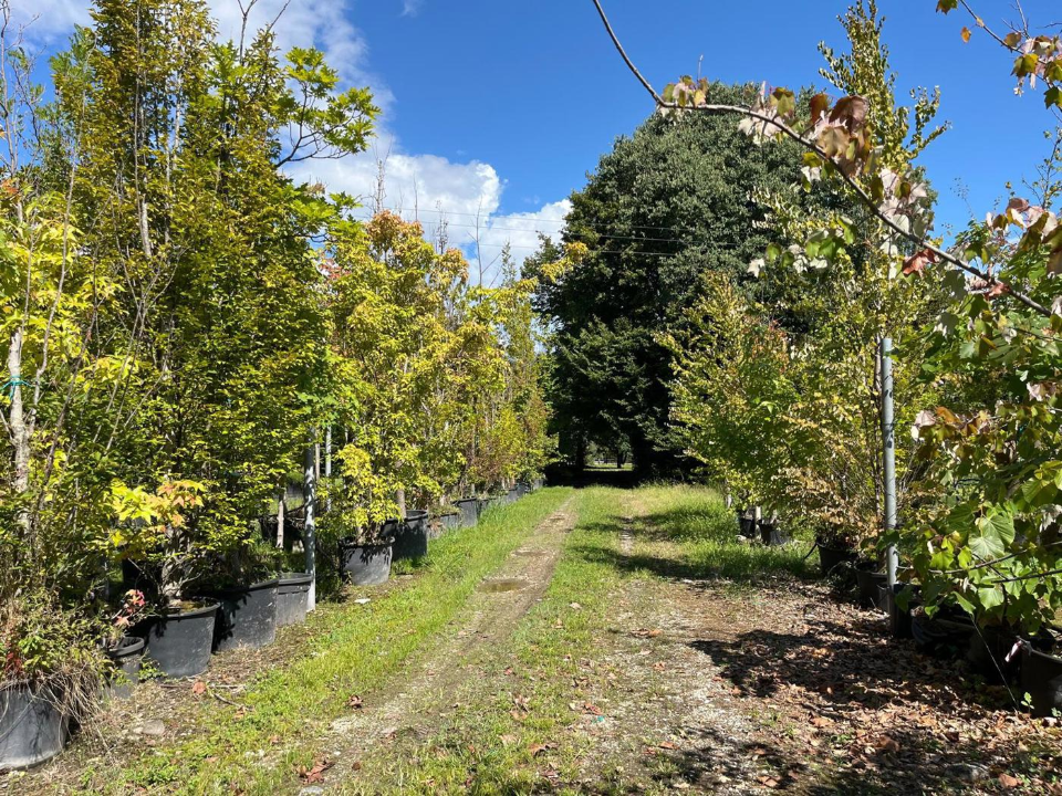 Attività - Image 13