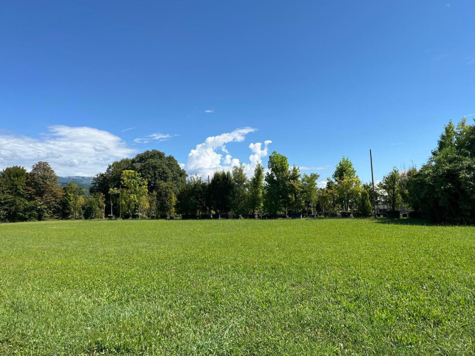 Attività - Image 12