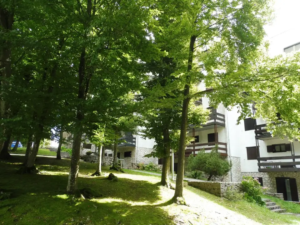 Appartamento - Image 2