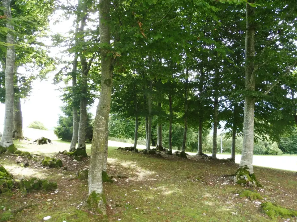 Appartamento - Image 6